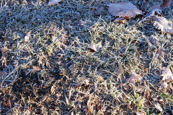 f0224506_20314630.jpg