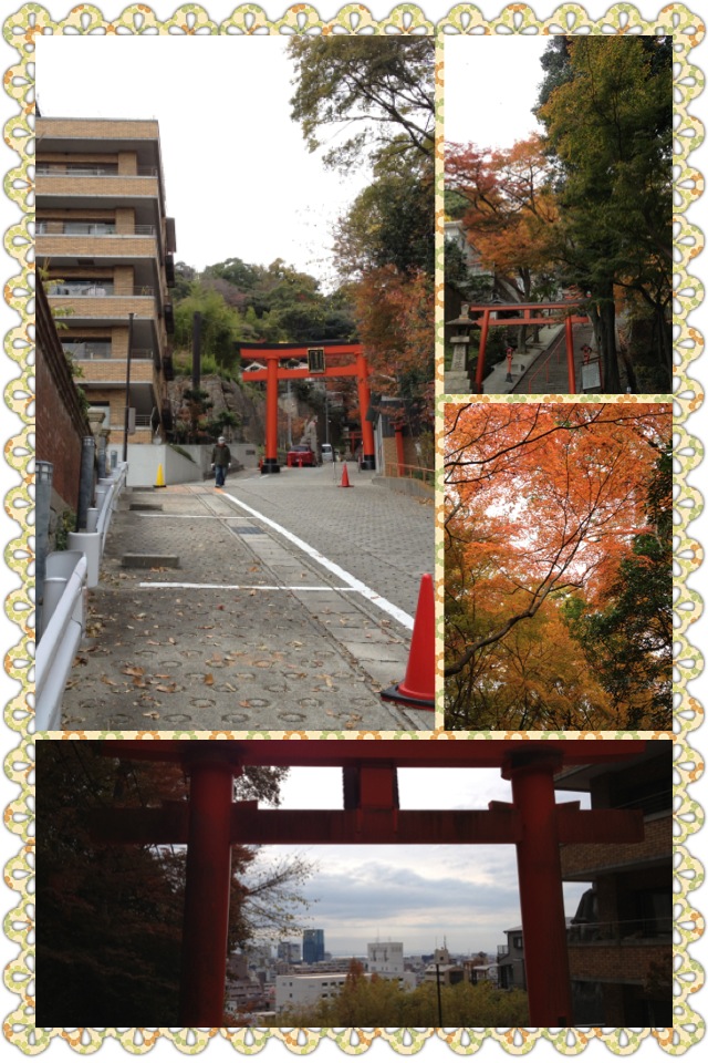 山荷葉 と 神戸の学会 _a0194908_0114175.jpg