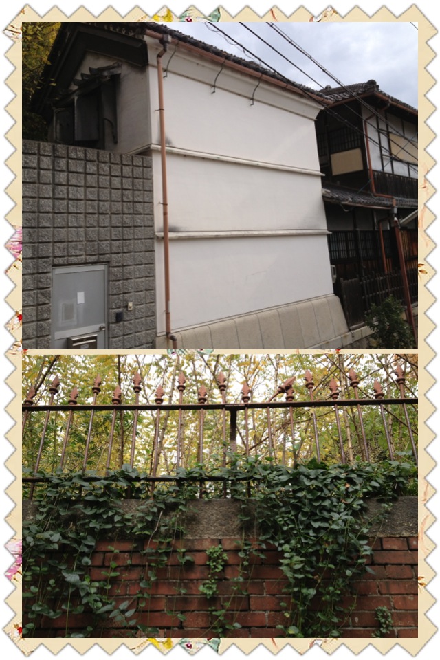山荷葉 と 神戸の学会 _a0194908_012864.jpg