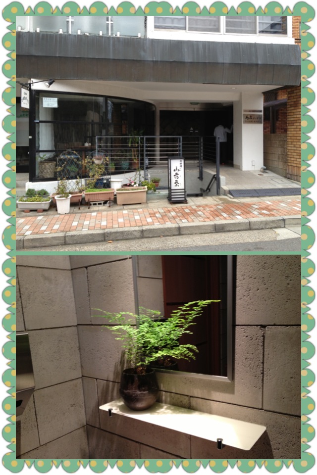 山荷葉 と 神戸の学会 _a0194908_0144160.jpg
