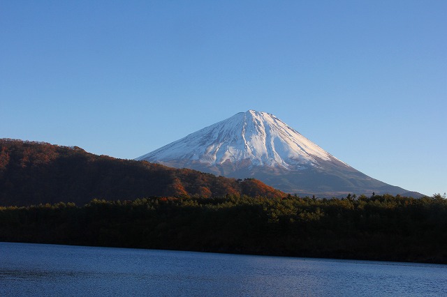 e0121110_2046780.jpg
