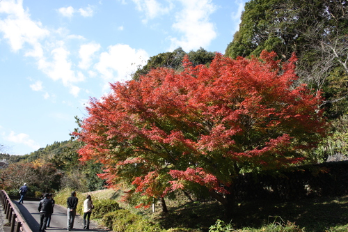 b0093515_7445034.jpg