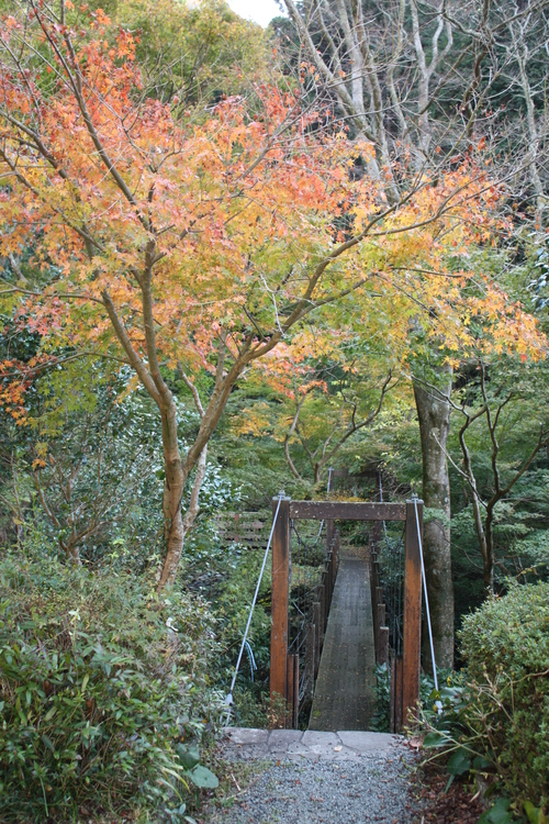 b0093515_746572.jpg