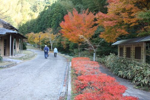 b0093515_7485562.jpg
