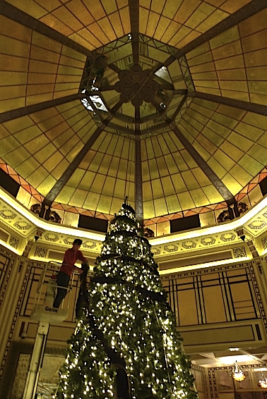 e0157816_1053145.jpg