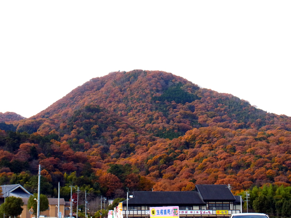 天空の城か干し柿の里か_e0083517_0543670.jpg