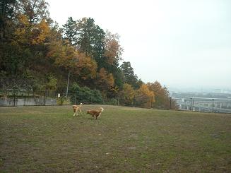 c0240318_15102759.jpg
