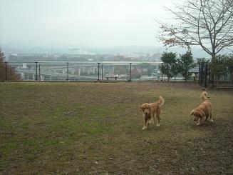 c0240318_1581881.jpg