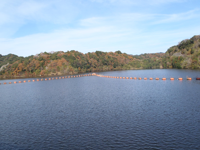 c0223419_18524235.jpg