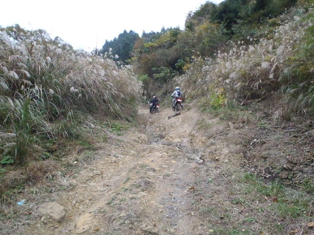 c0223419_19404233.jpg