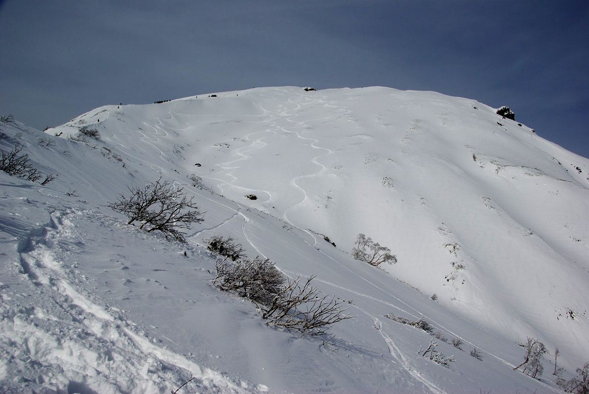 b0062024_2114078.jpg