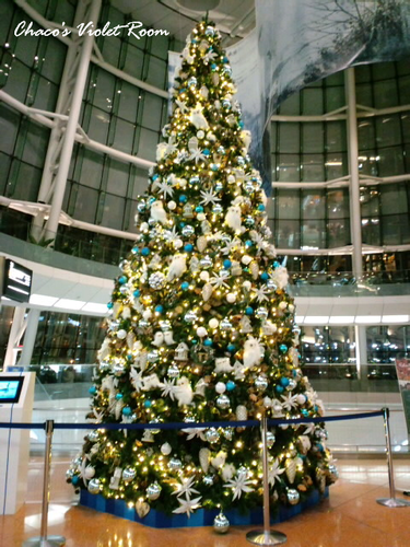 e0245625_039271.png