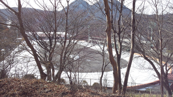 b0238426_14445428.jpg