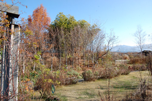 c0107129_21193915.jpg