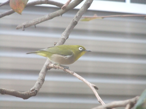 b0137932_2034950.jpg