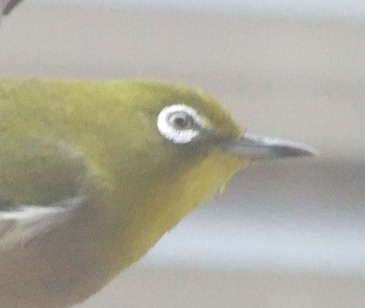 b0137932_2071846.jpg