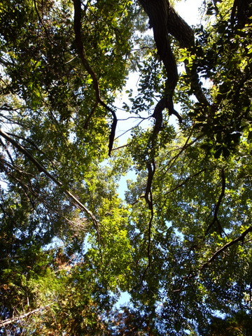 b0281732_4181262.jpg