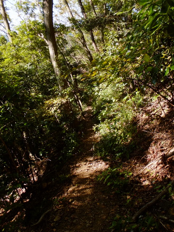 b0281732_4184026.jpg