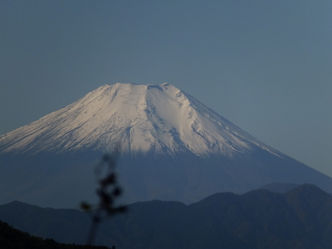 b0281732_4193611.jpg