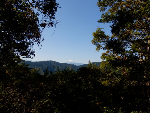 b0281732_419452.jpg