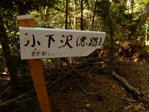 b0281732_4201435.jpg