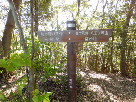 b0281732_4205089.jpg