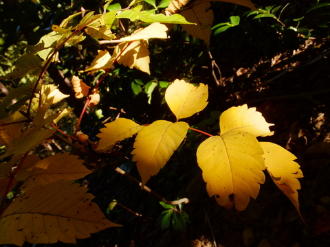 b0281732_4205984.jpg