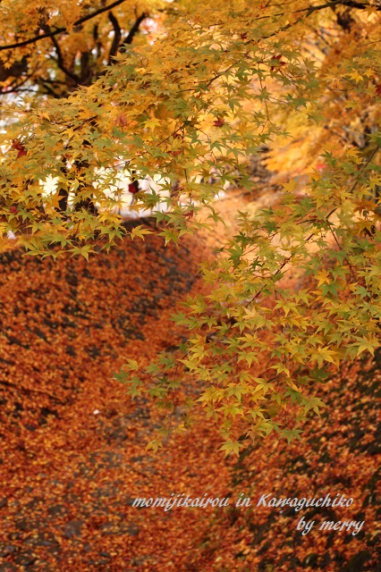 a0207736_22563987.jpg