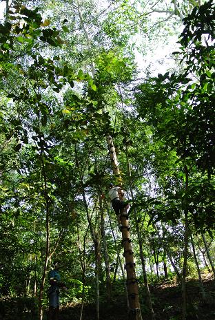 e0089238_1124432.jpg