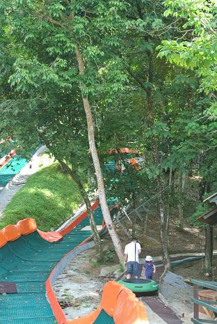 e0089238_11284815.jpg