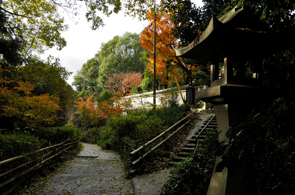 九条山上下水道局 ⇒ 日向大神宮付近。_b0143240_15534839.jpg