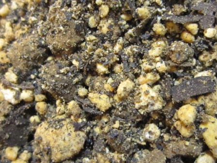 c0025140_21463416.jpg