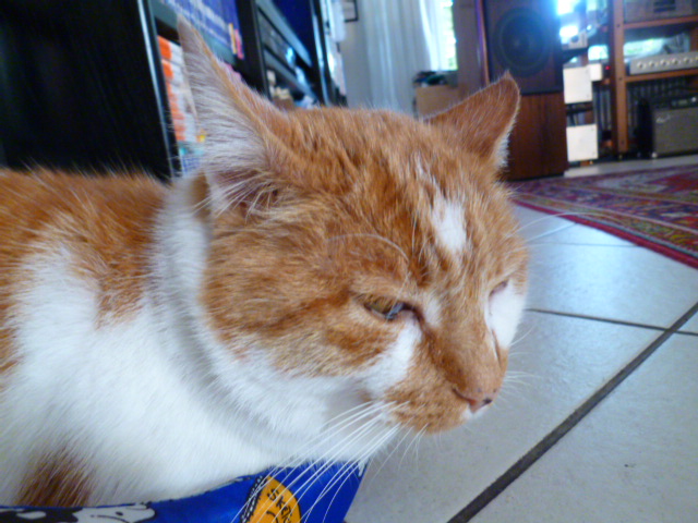 d0170140_1351027.jpg