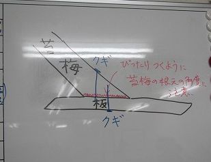 c0076141_10345486.jpg