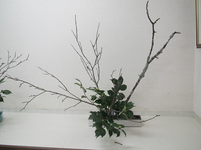 c0076141_10412364.jpg