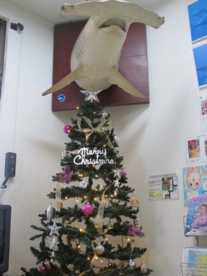 12月 3日 12月突入~_b0158746_165146.jpg