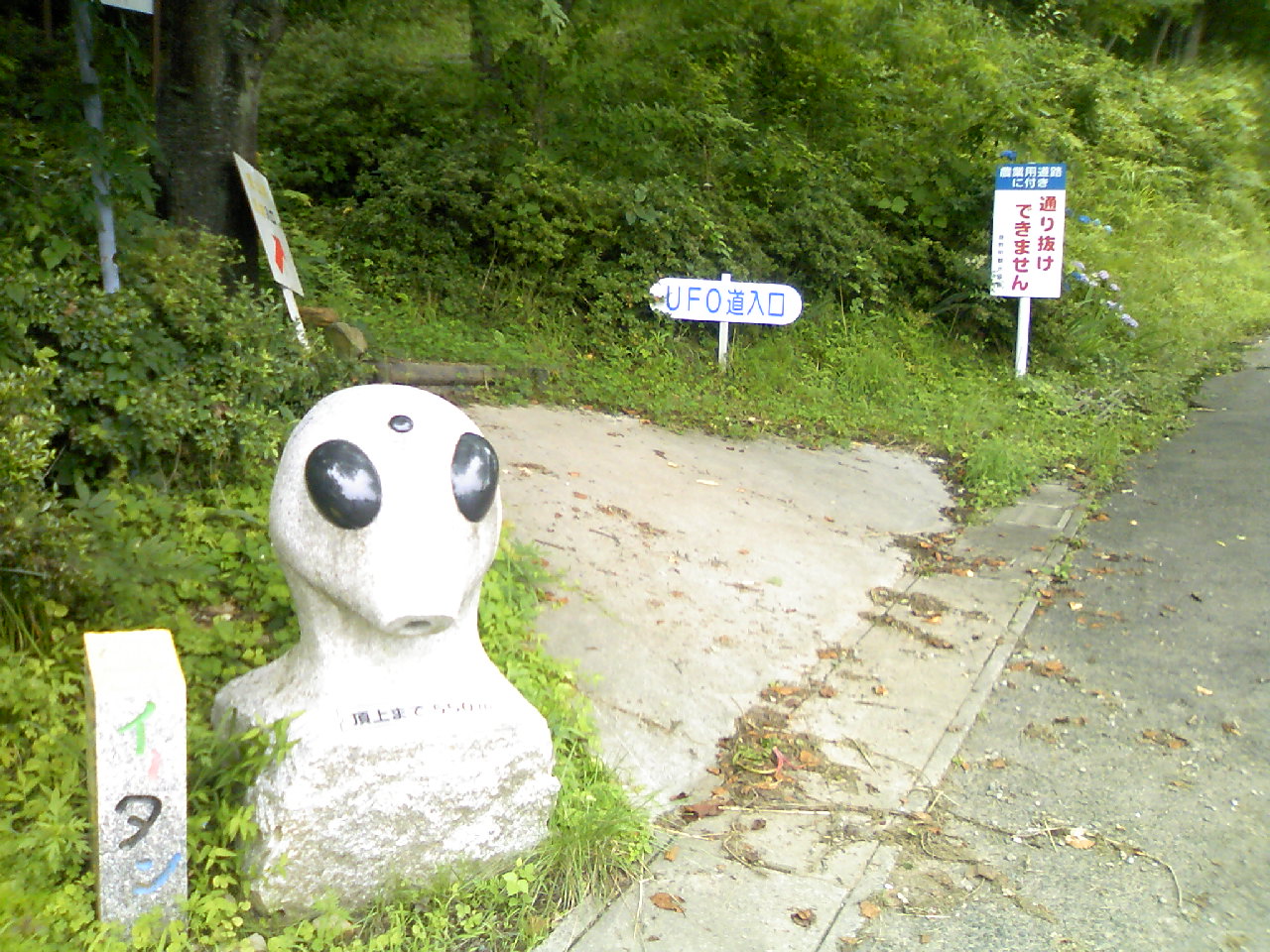 c0261447_22473720.jpg
