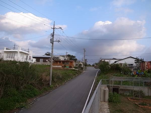 やんばるを、自転車が駆け抜ける。_f0002248_22592756.jpg