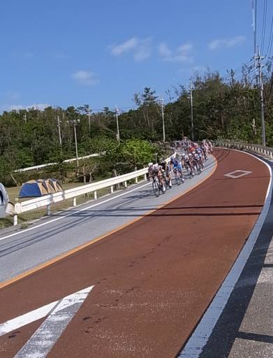 やんばるを、自転車が駆け抜ける。_f0002248_2353039.jpg