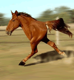 d0234851_1585351.gif