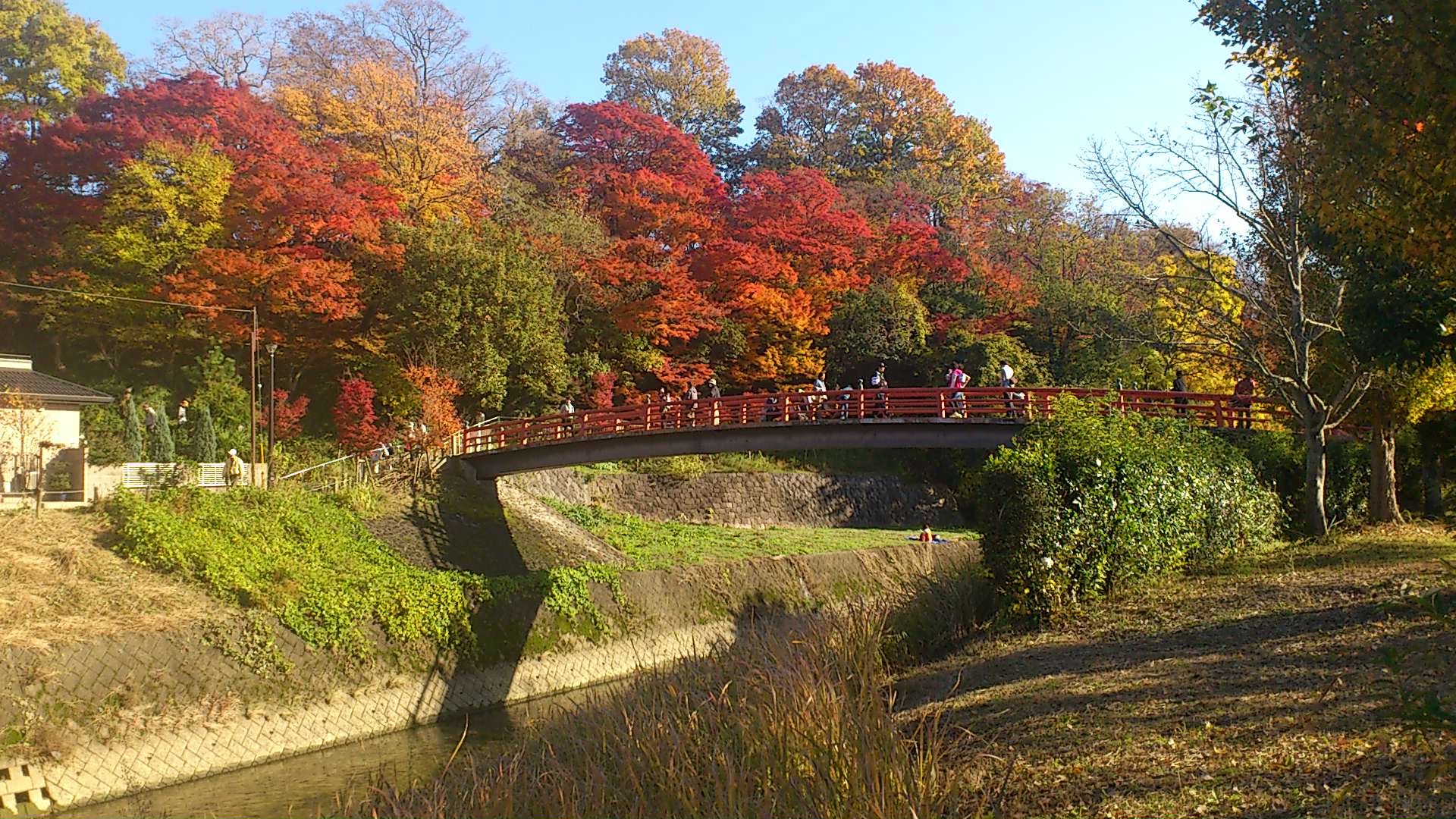 f0025351_1513257.jpg