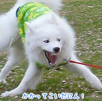 a0166954_04650.jpg