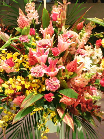 b0208756_1822835.jpg
