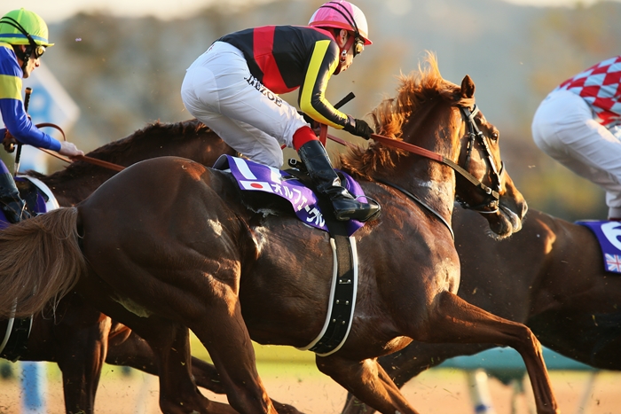 2012 ジャパンカップ三冠馬対決　現地馬券 2012 ジャパンカップ三冠馬対決 現地馬券 2025年最新】ジェン