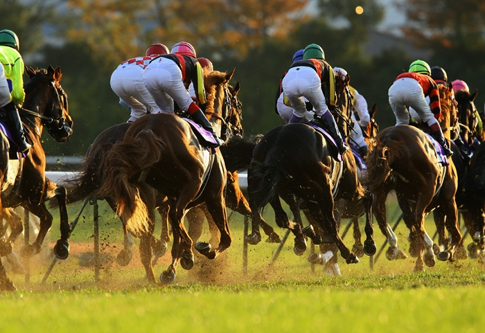 競馬史に残る名勝負 ジャパンカップ ２ Turfに魅せられて 写真紀行
