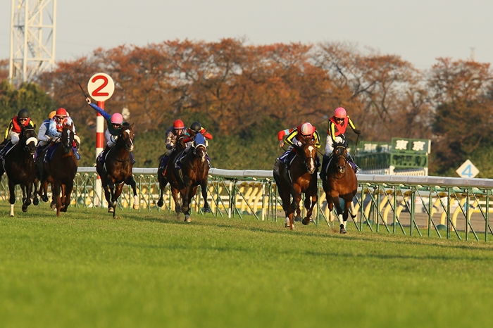 2012 ジャパンカップ三冠馬対決 現地馬券 2025年最新】ジェン