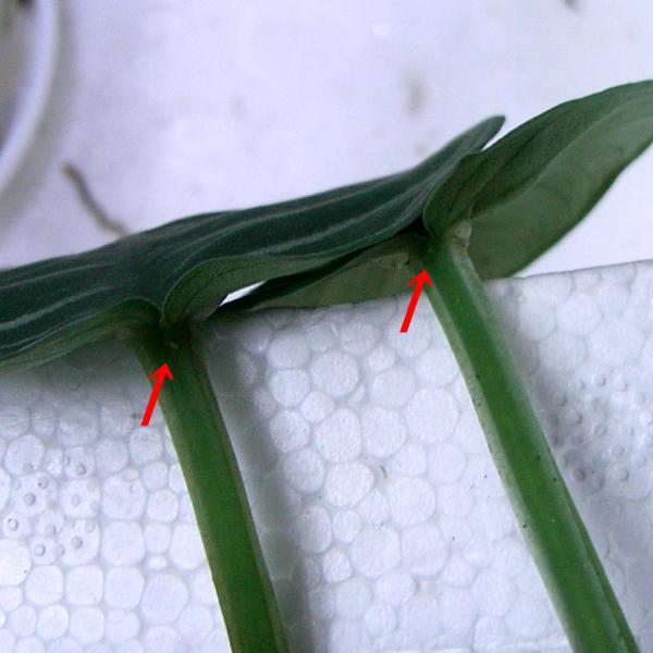 d0249970_23323285.jpg