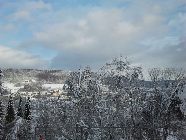 d0116376_1391920.jpg