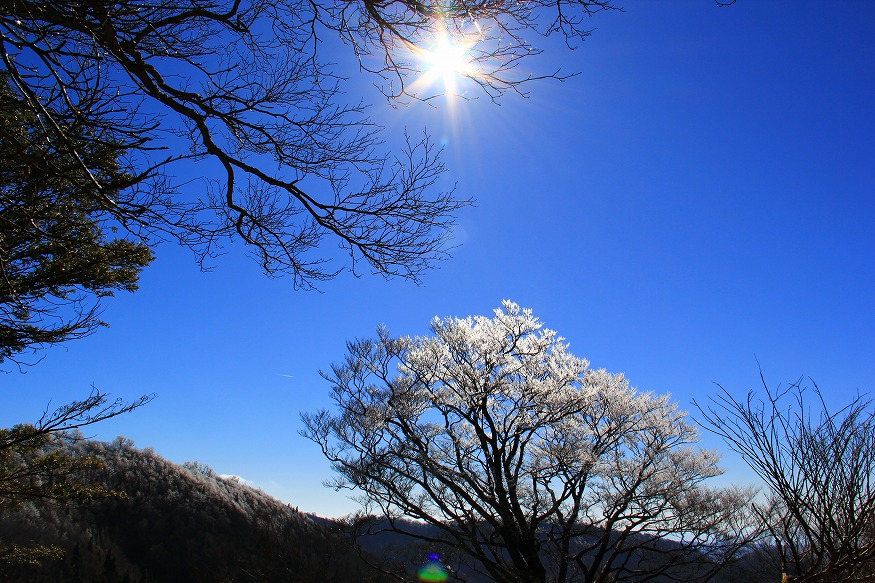 b0286982_1034386.jpg