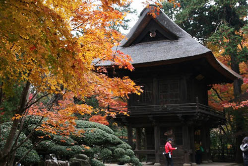 平林寺境内林の紅葉_f0030085_2051186.jpg